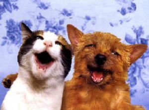 9 �������� �� ������� ���������� - ���� �� �������